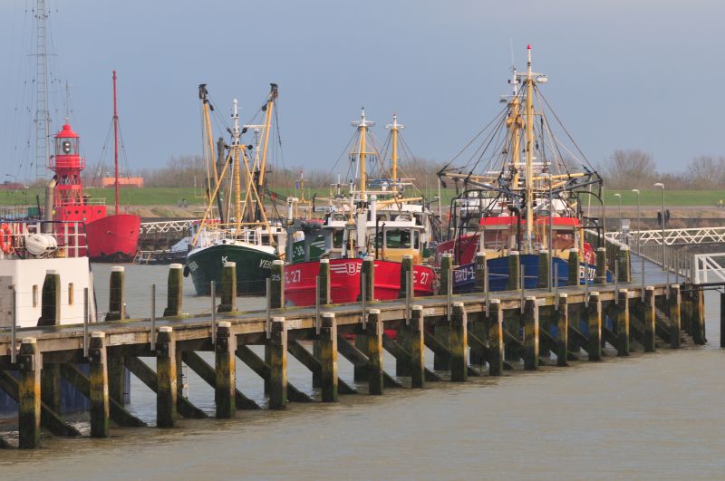 Haven Harlingen op een grijze winderige zondag