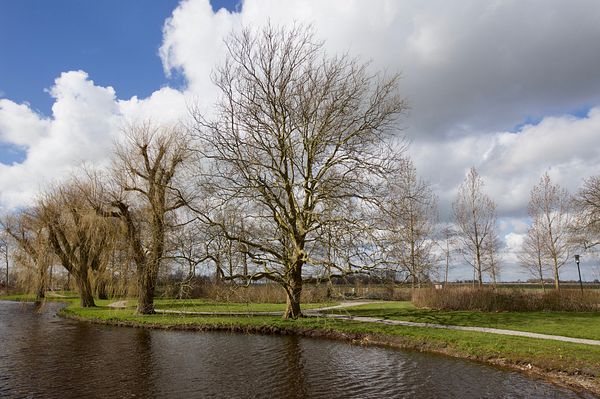 Akkrum, park Coopersburg