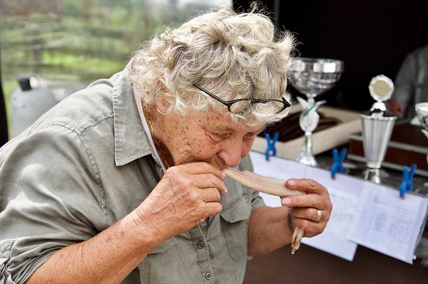 Baard, jaarlijkse wedstrijd palingroken