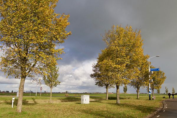 Dearsum, kruising N384 en N354, afslag Poppenwier