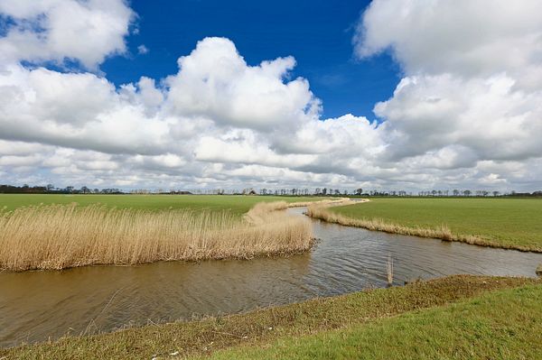 Wjelsryp zicht op Baaium vanaf N384