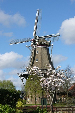 Molen