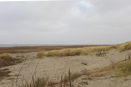 Schiermonnikoog