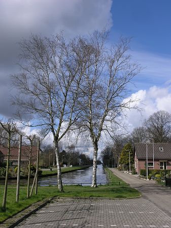 Noordscheschut