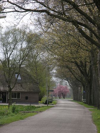 Steenwijksmoer