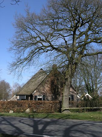 Zuidvelde