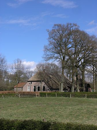 Zuidwolde