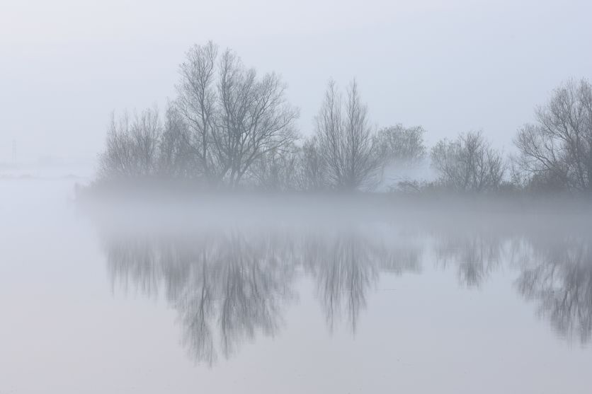 Avondnevel in de Alde Feanen