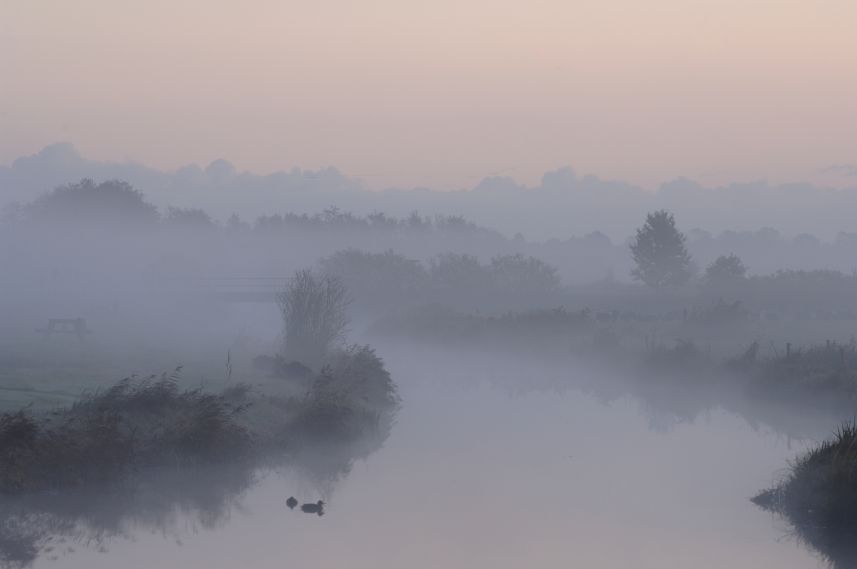 Nevel in de Alde Feanen