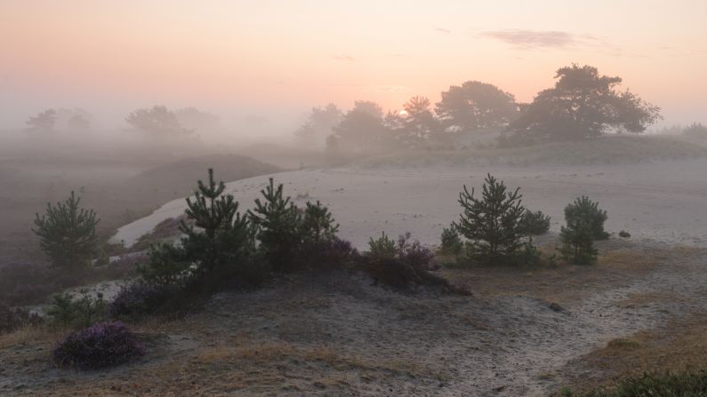 Nevel op het Aekingerzand 2 Nevel op het Aekingerzand 2