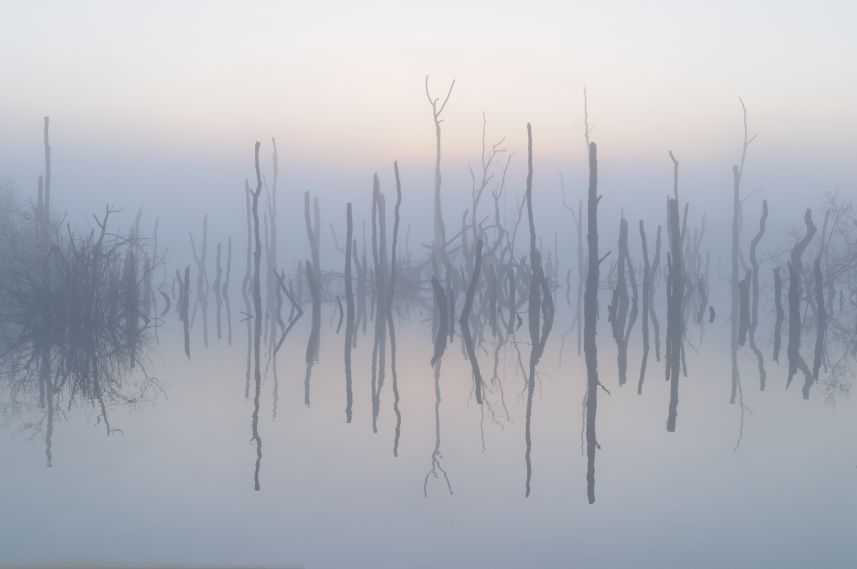 Reflectie in de Alde Feanen Reflectie in de Alde Feanen