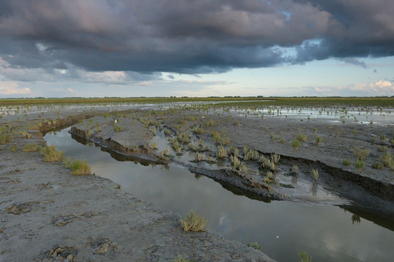 Noords Friesland buitendijks