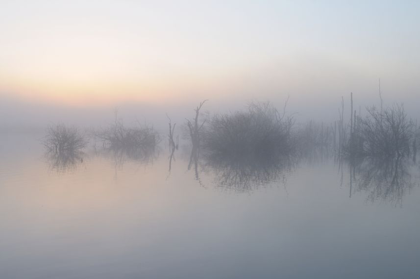 Ochtend in de Alde Feanen Ochtend in de Alde Feanen