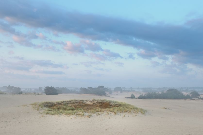 Ochtend op het Aekingerzand Ochtend op het Aekingerzand