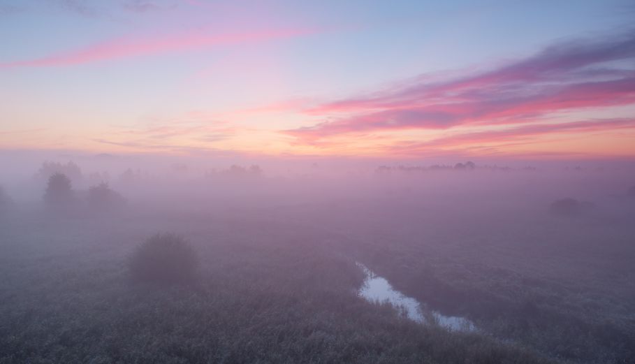 Nevel in de Alde Feanen 3