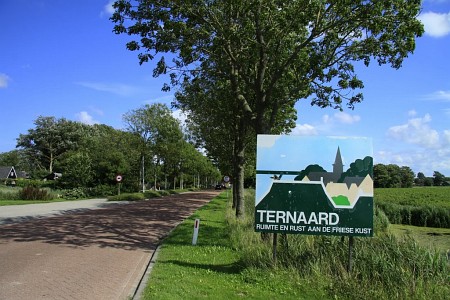 Ternaard