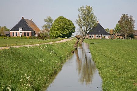 Nijland