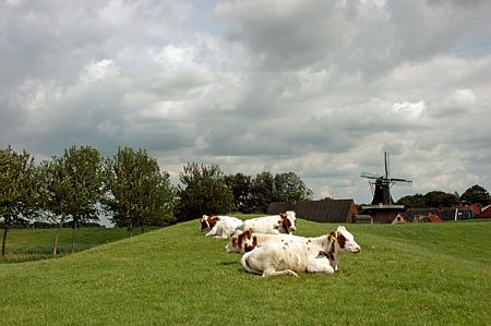 Vierhuizen
