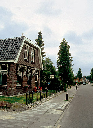 Rotsterhaule