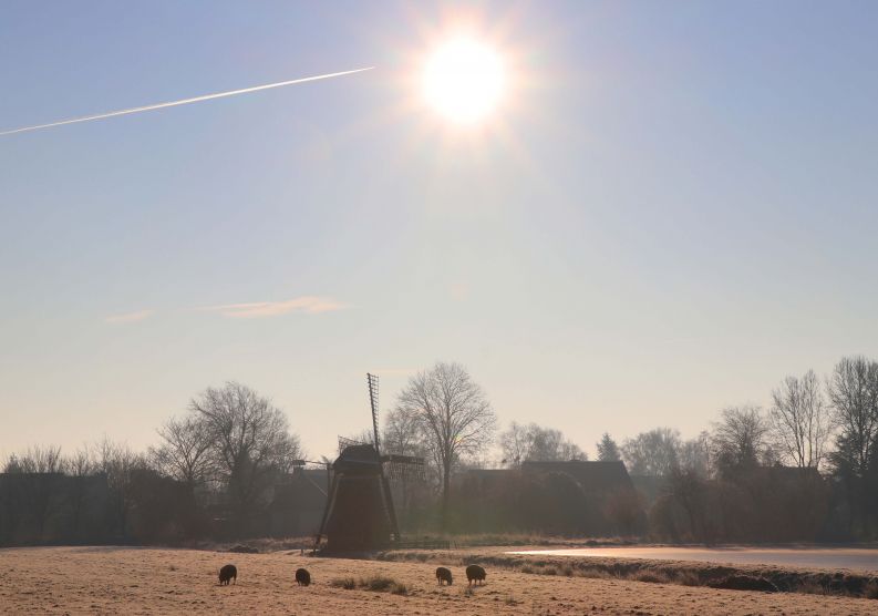 Molen bij de ijsbaan