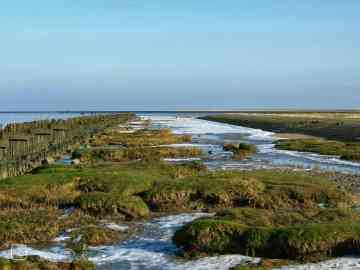 Groen tussen het ijs