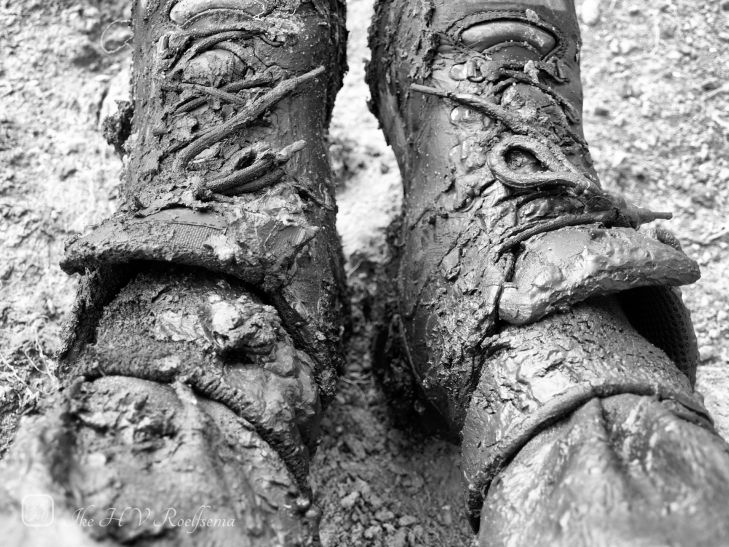 Uit de klei getrokkebn