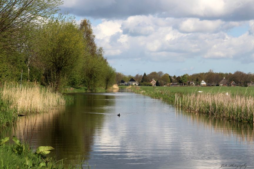 De Marwei in Burgum. Mooi wandelpad