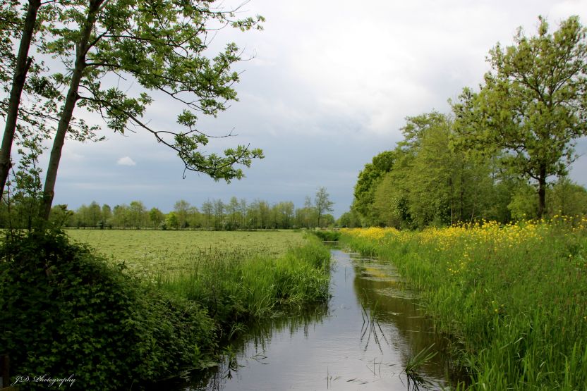 De mooie Soestpolder bij Burgum