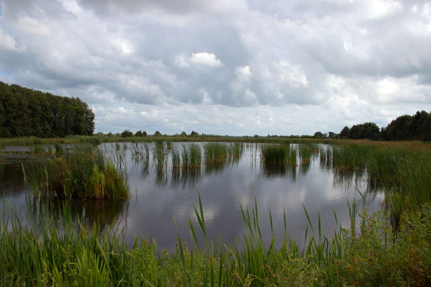 De mooie Soestpolder bij Burgum