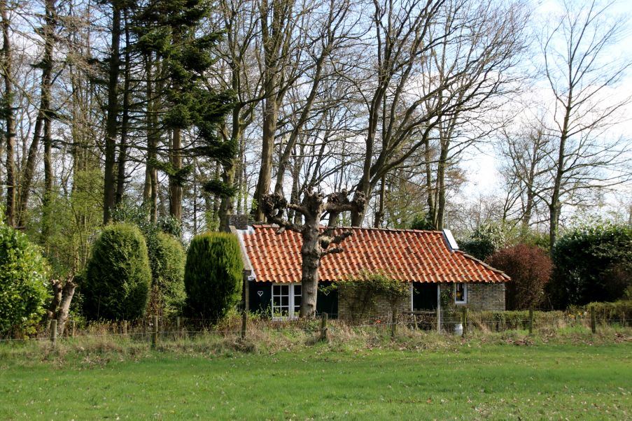 Woudboerderijtje gebouwd voor 1850