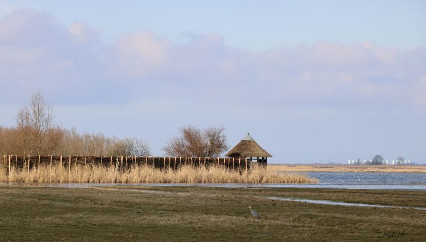 Vogelkijkhut Ezumakeeg