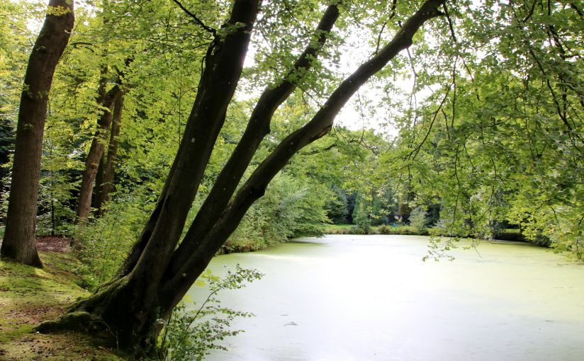 Vijver achter Heemstra State