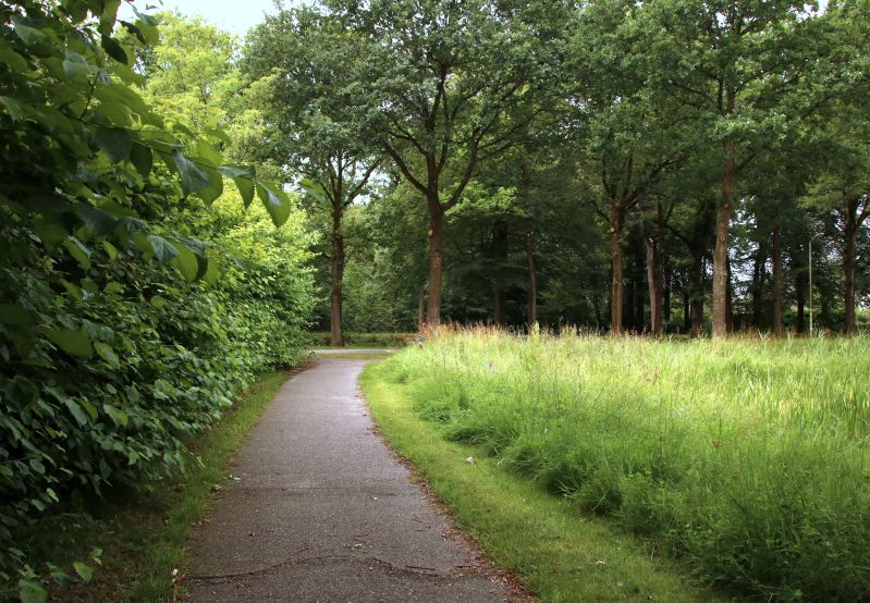 Wandel en fietsenroutes omgeving Oenkerk.