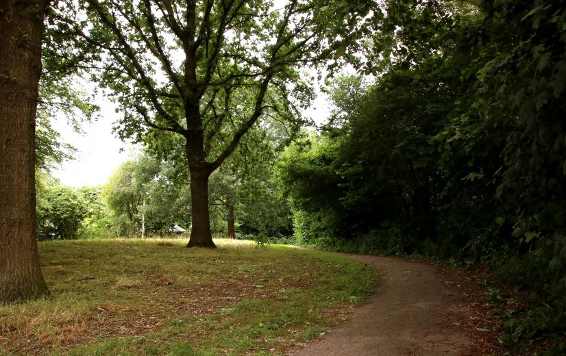 Wandel en fietsenroutes omgeving Oenkerk.