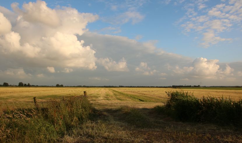 Avondlicht nabij Oenkerk.