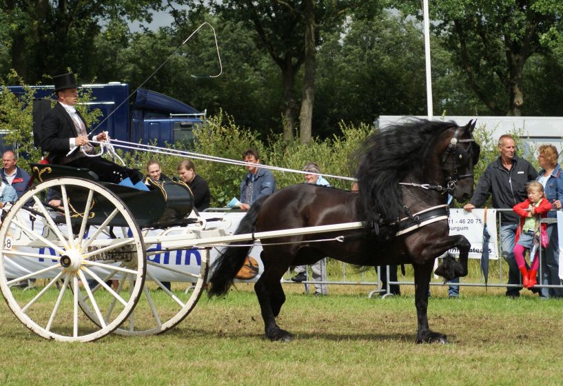 Paardendagen Garijp.