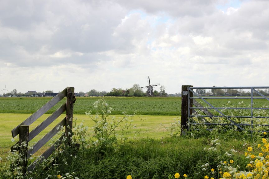 Mooi landschap in het Buitenveld