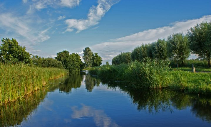 Zomer in het Buitenveld