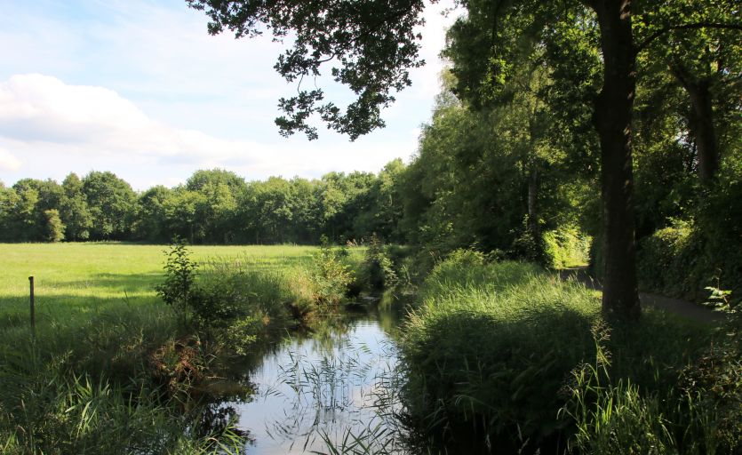 Mooie natuur rondom Oentsjerk