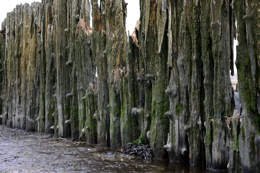 Wad-aanslib beschoeiing