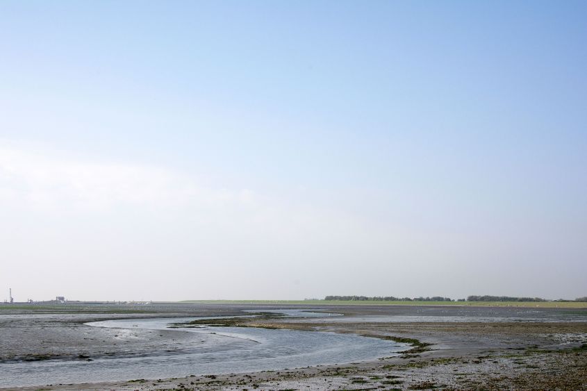 Wad voor de kust vam Hollum / Ameland