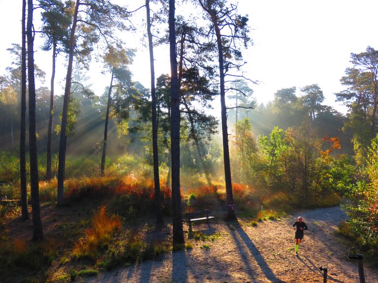 Zondagochtend in Beetsterzwaag
