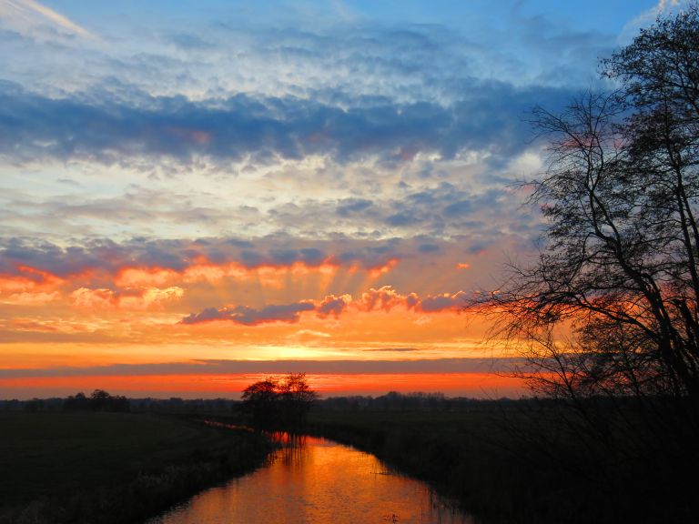 Ald Djip - Koningsdiep