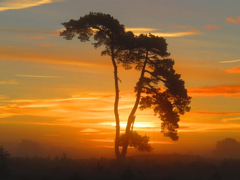 Zonsopkomst boven het Aekingerzand (De Kale Duinen) bij Appelscha 