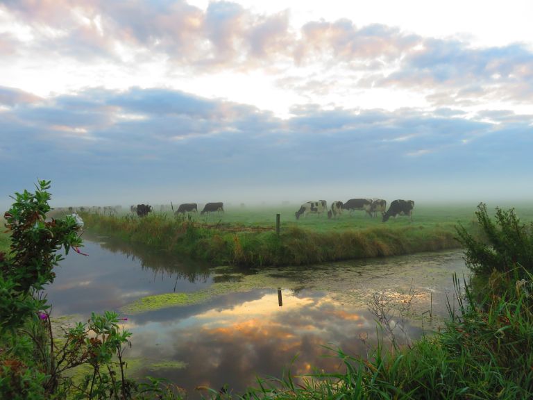 Zonsopkomst in het hart van Friesland