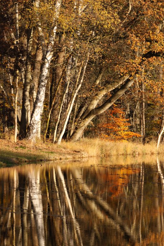 Herst op landgoed Lauswolt, Beetsterzwaag