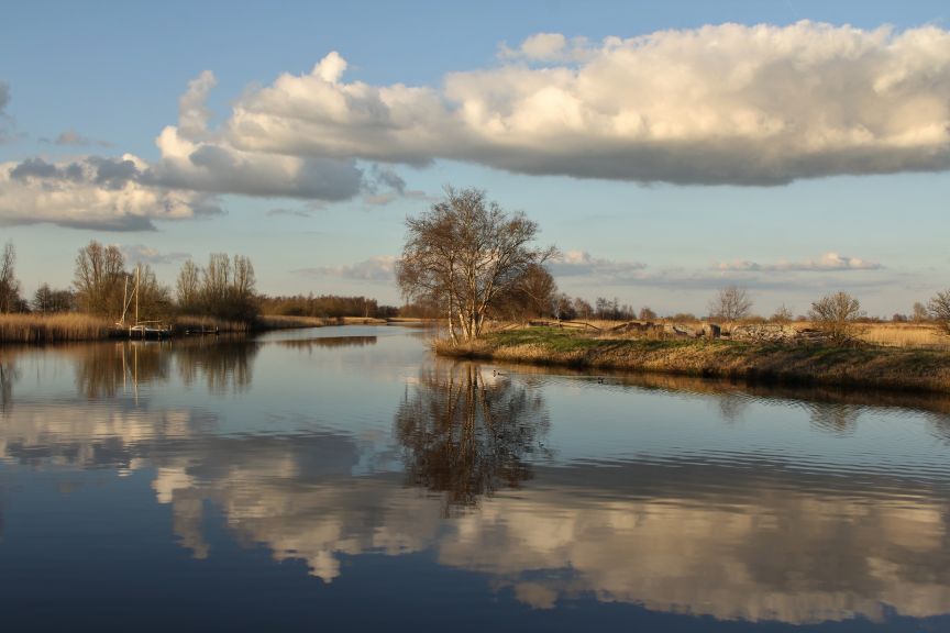 Tjonger bij Zevenbuurt