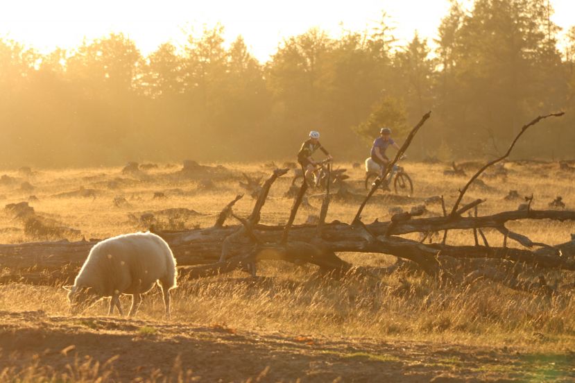 Mountainbikers Aekingerzand, Appelscha
