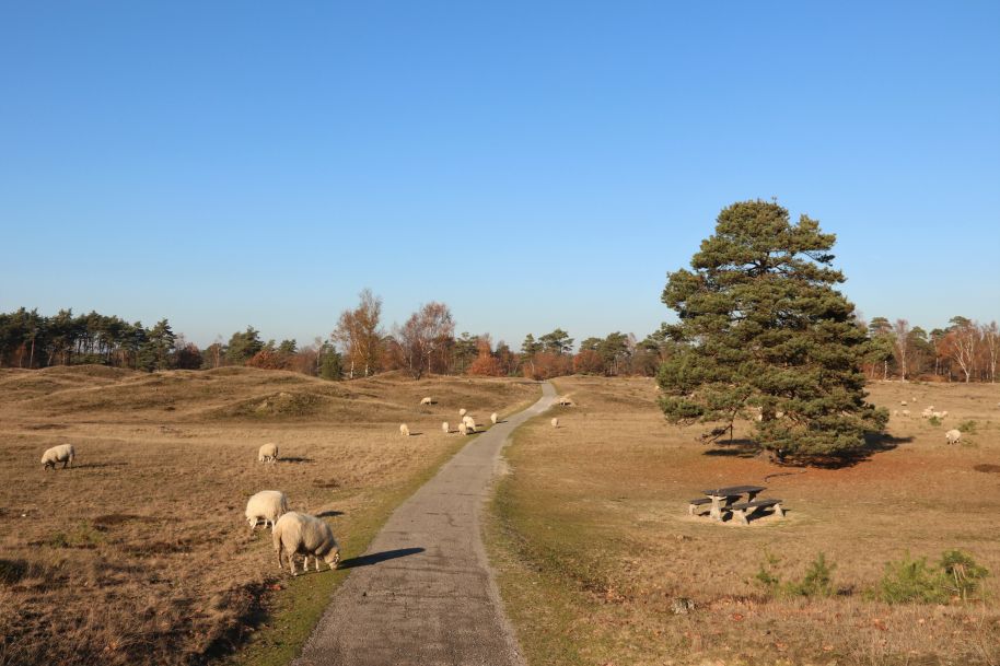 Aekingerzand, Appelscha