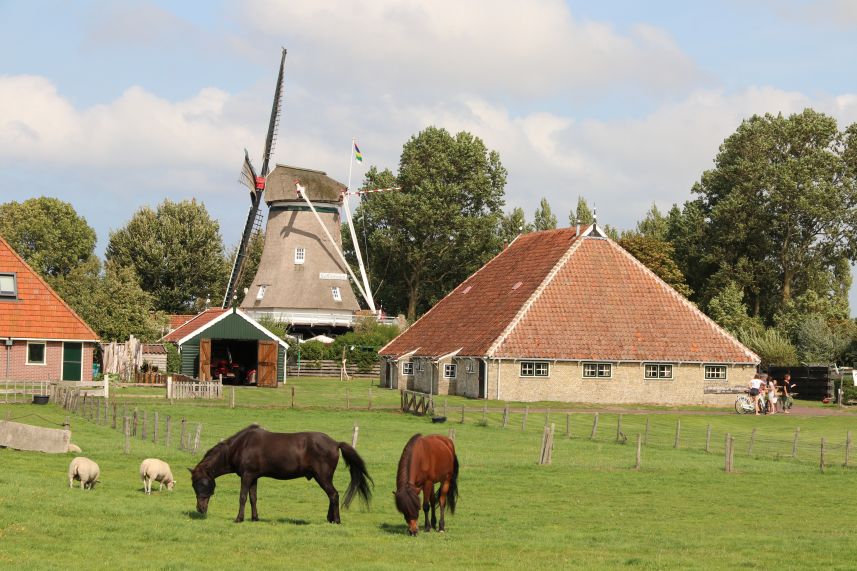 Molen bij Formerum, Terschelling